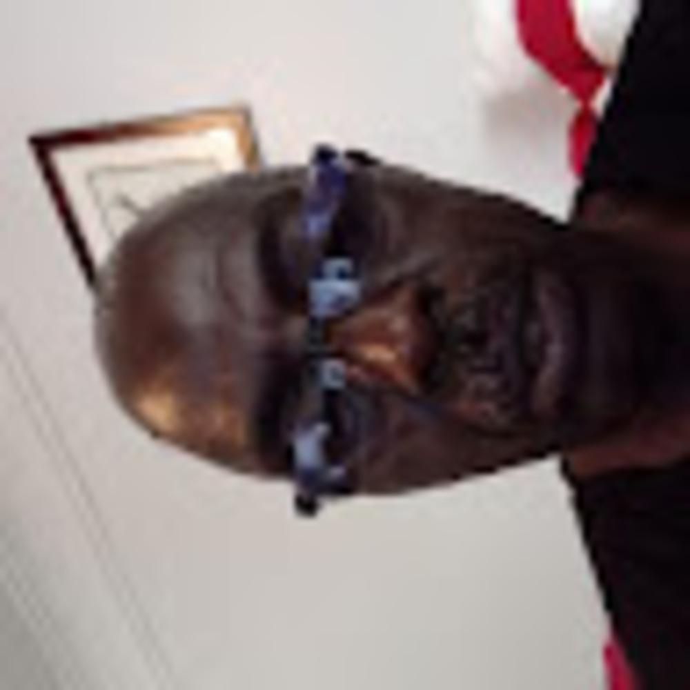 Meet your Posher, Reginald